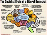 liberal-brain