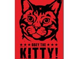 obey kitty